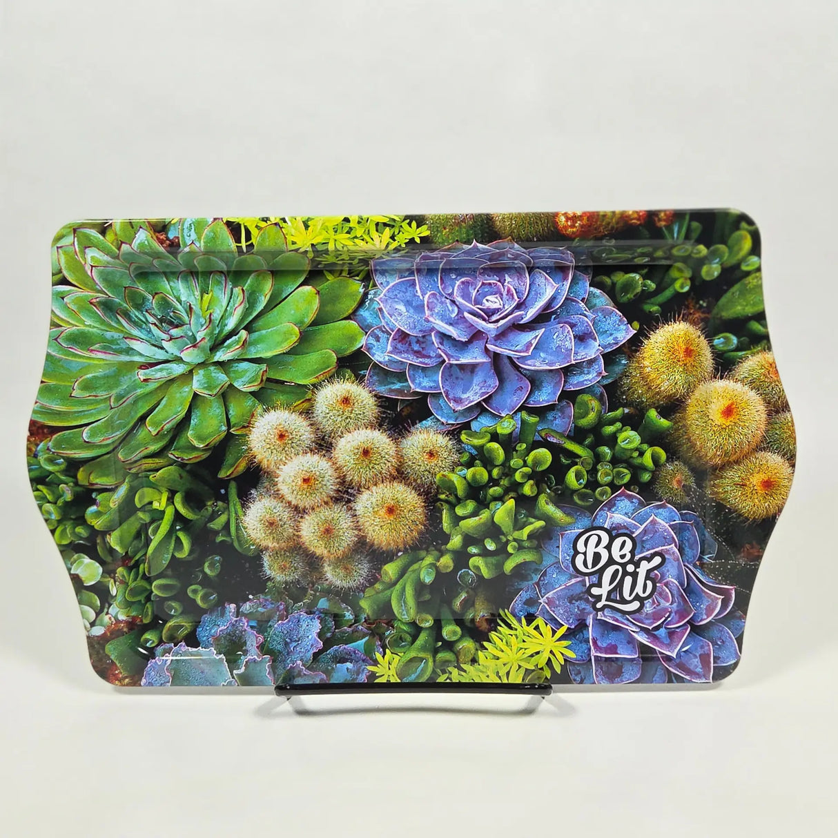 Be Lit: Succulents (Small)