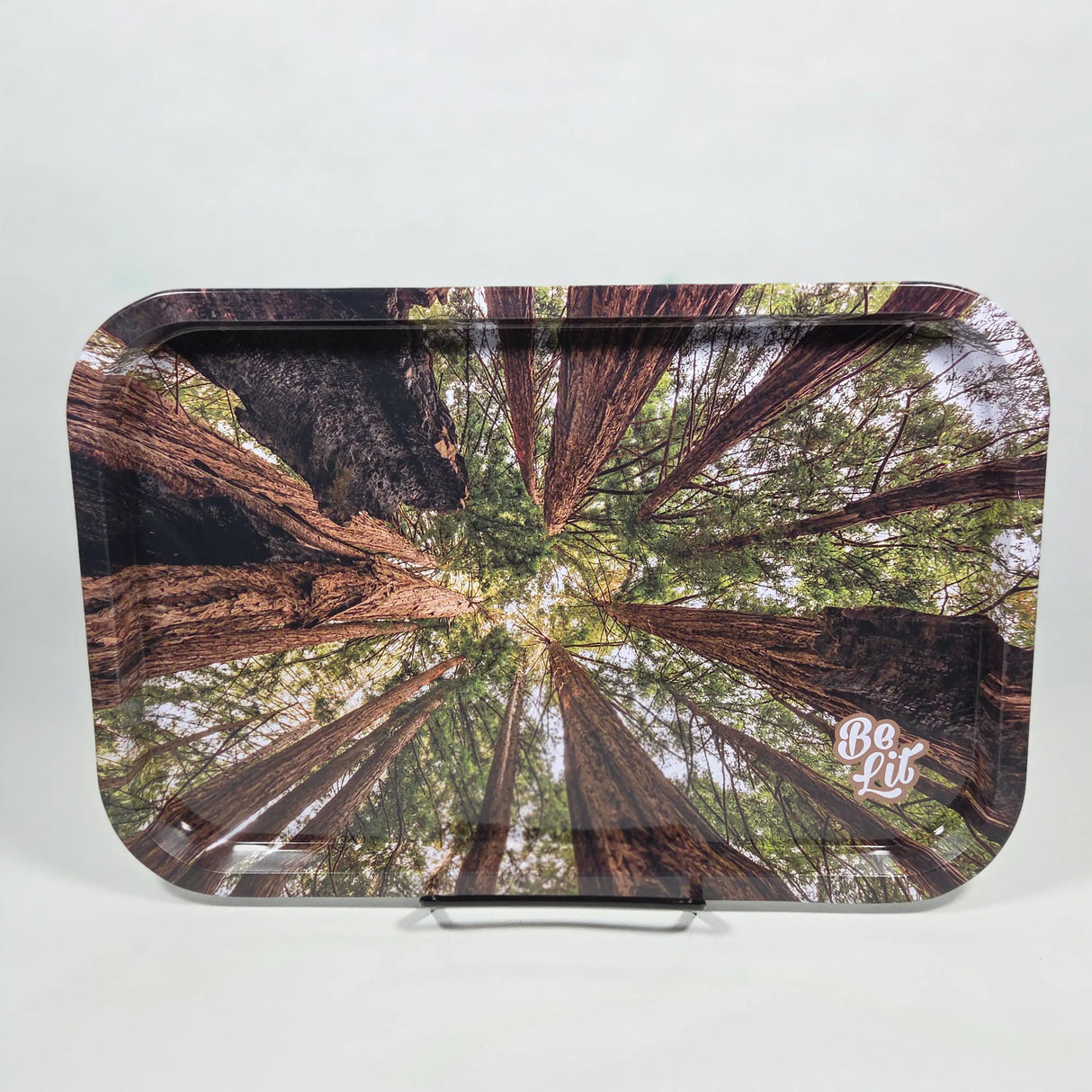 Be Lit: Forest (Medium)