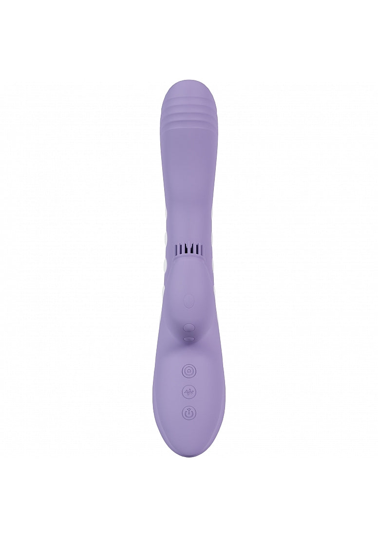 Dolce VIVE Andria - Purple