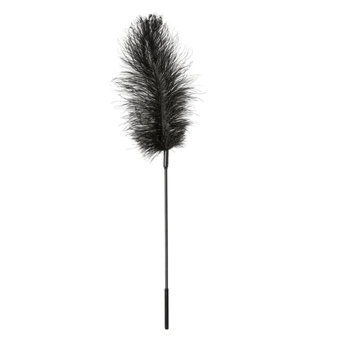 Ostrich Feather-Black