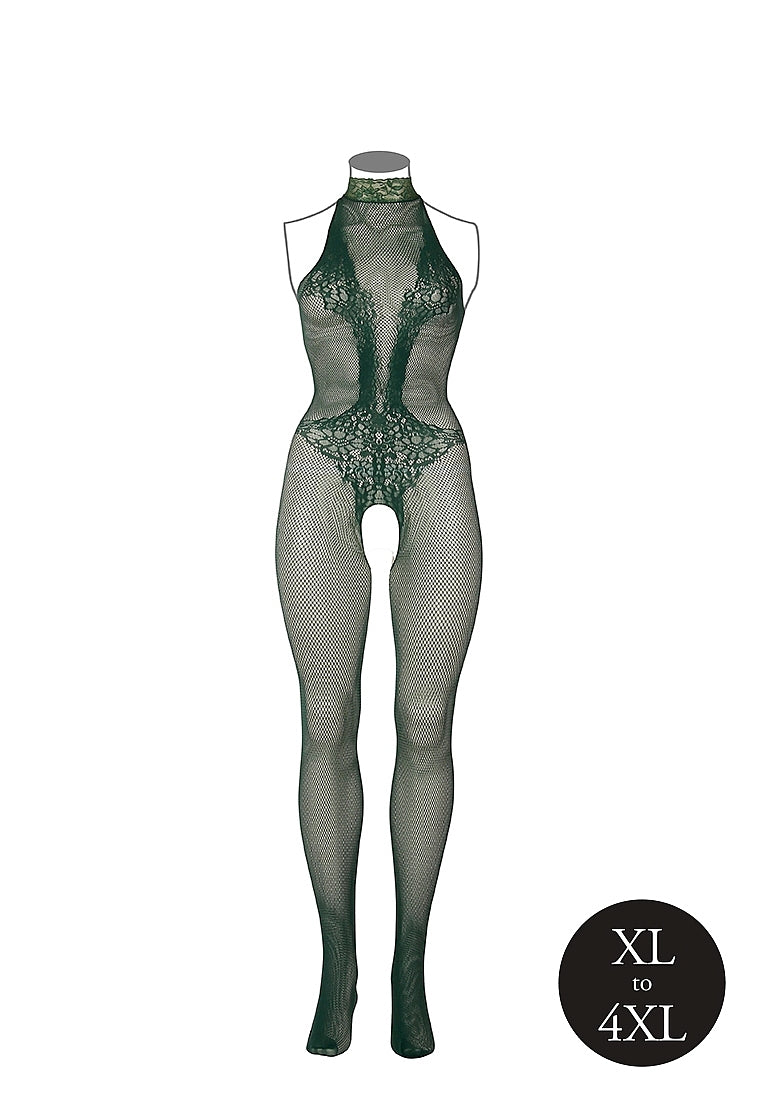 Catsuit: Fishnet & Lace