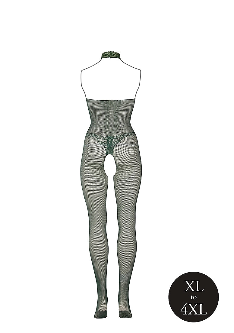 Catsuit: Fishnet & Lace