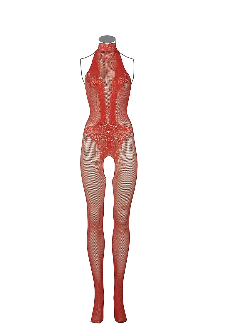 Catsuit: Fishnet & Lace