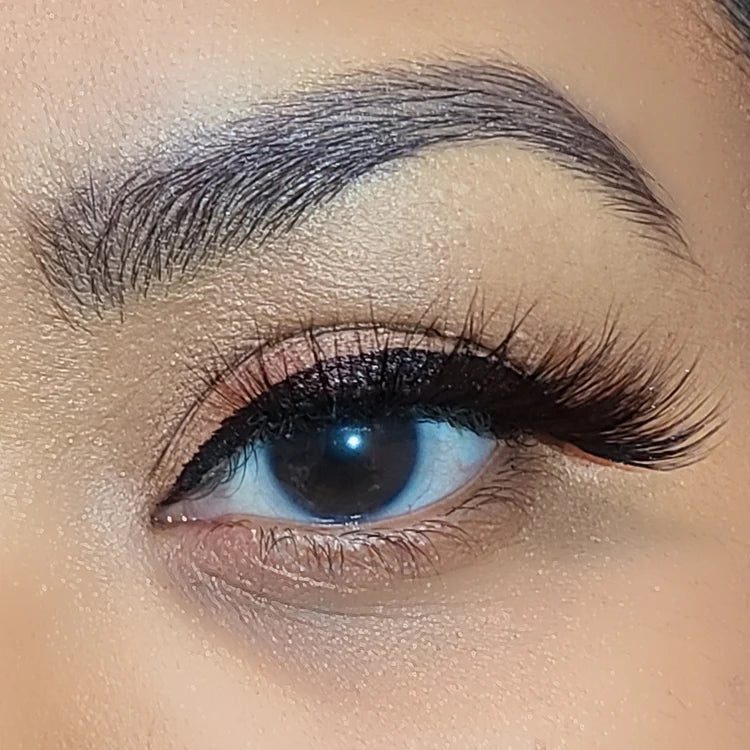 Lashes: PiLash ROYAL