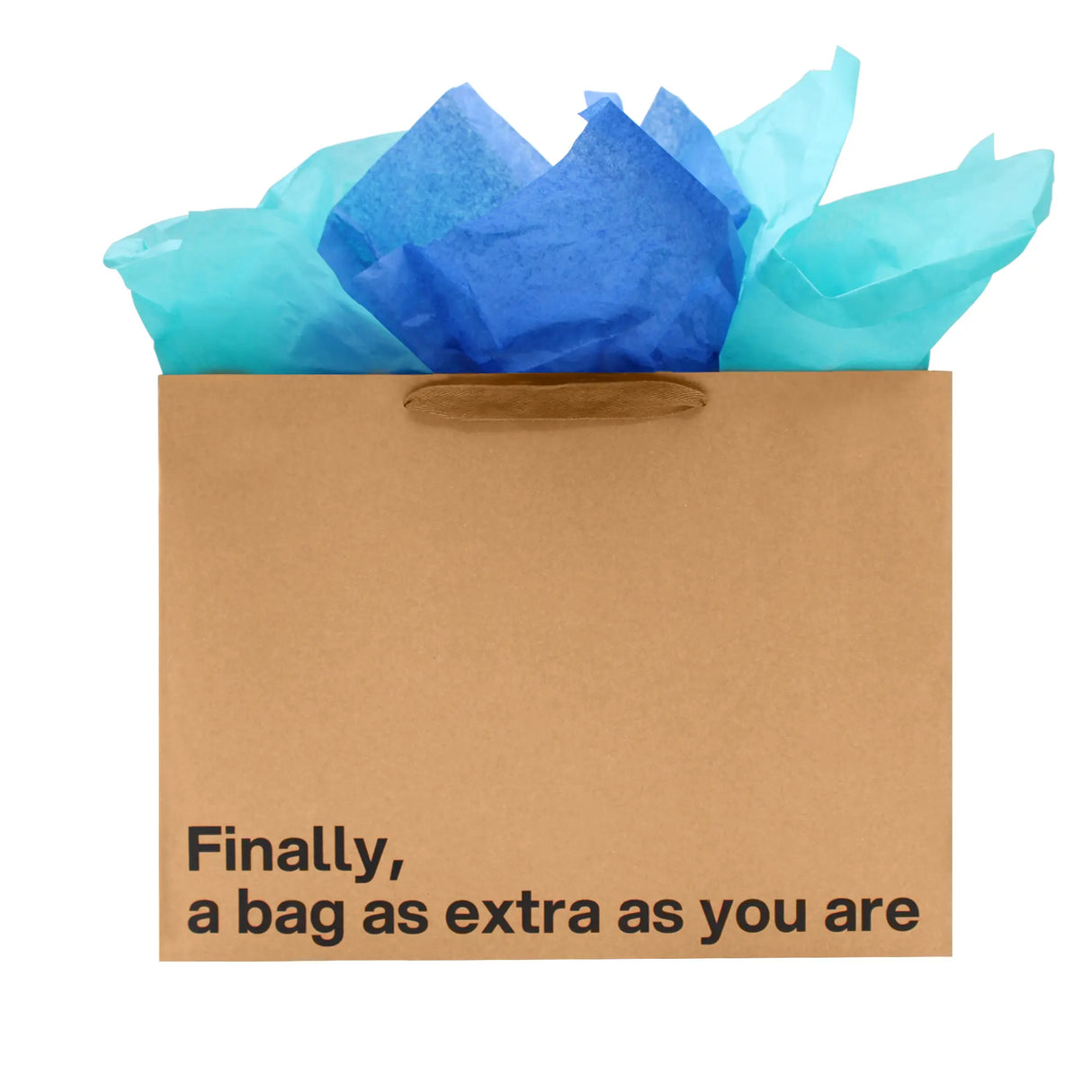 Bag: A Bag as Extra as You Are