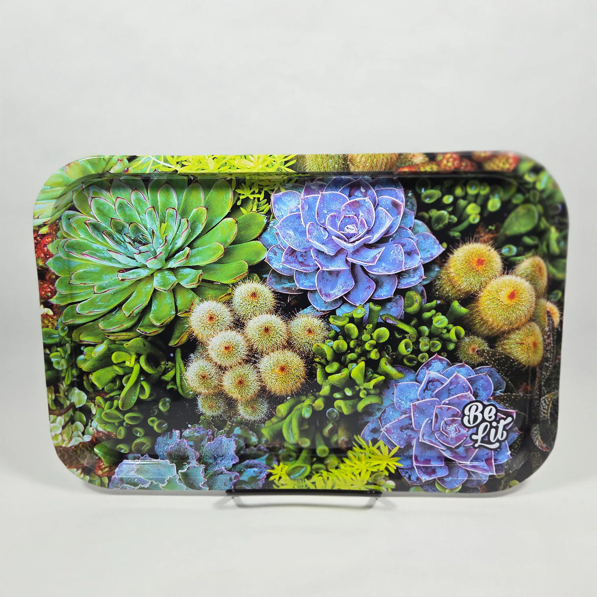 Be Lit: Succulents (Medium)