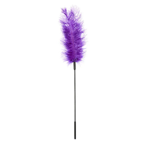 Ostrich Feather-Purple