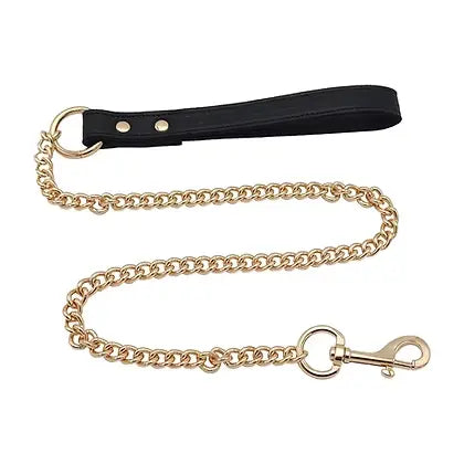 Rouge Leather Lead w/Gold Accent