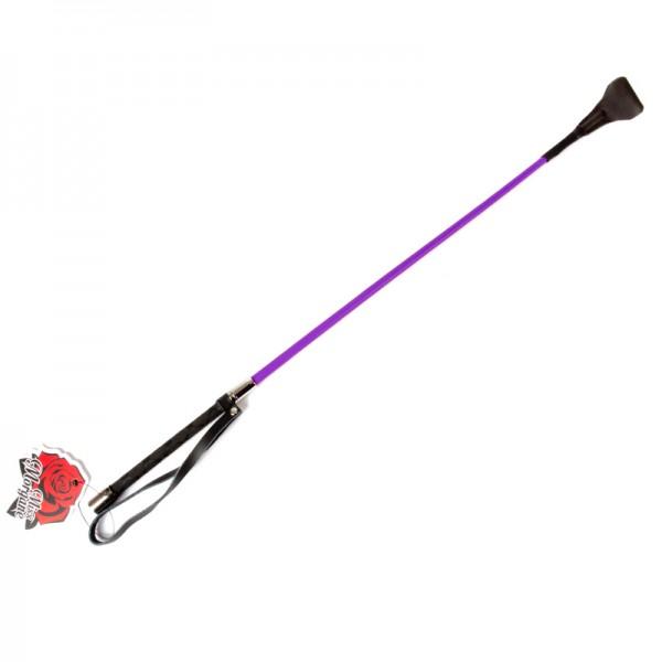 Miss Morgane Crop Purple