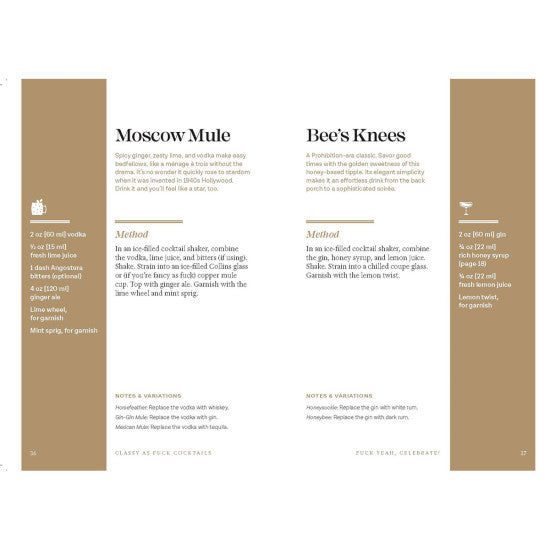 Book: Classy as Fuck Cocktails