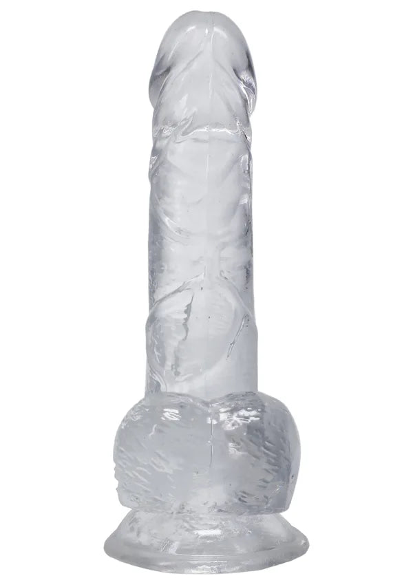 Dick in a Bag - 6"
