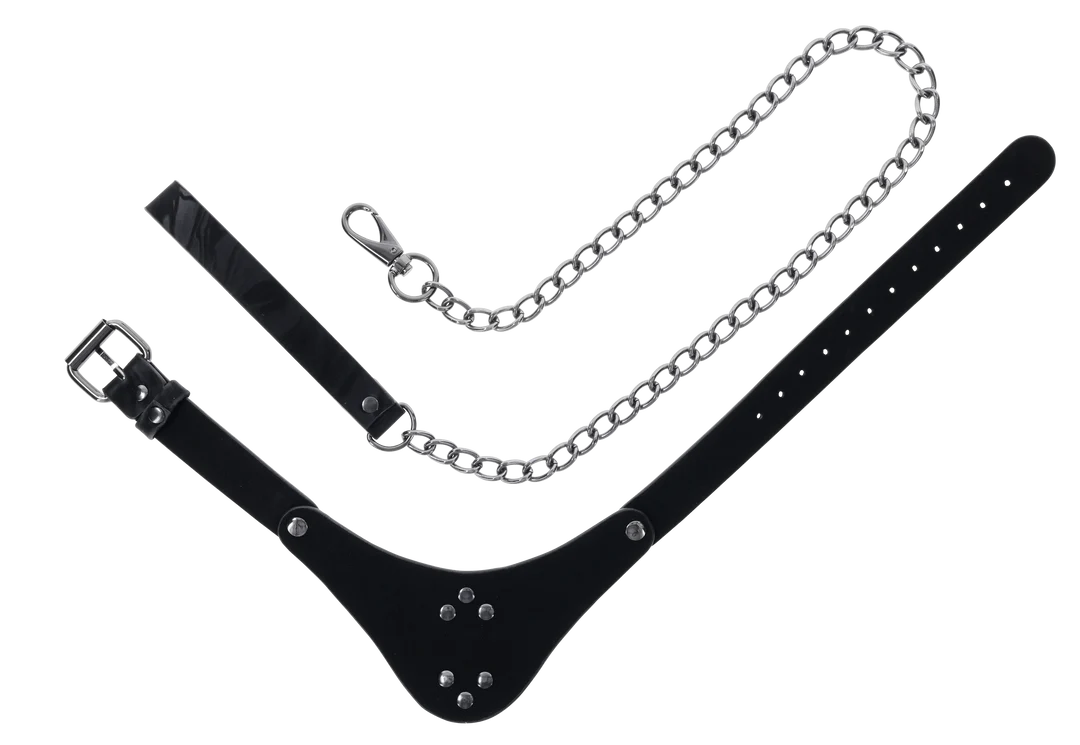 Sportsheets Velvet Noir Collar & Leash