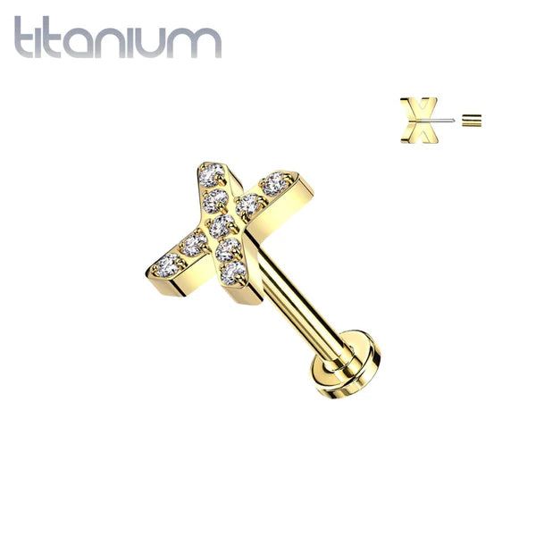 Labret: Titanium Pave X-Gold CZ
