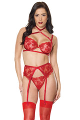Metallic Bra/Garterbelt Set-Red