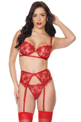 Metallic Bra/Garterbelt Set-Red
