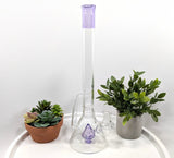 DiscoBox: Single Recycler w/ Fixed Stem (14mm - Purple)