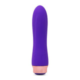 Envy XLR8 Bullet - Purple