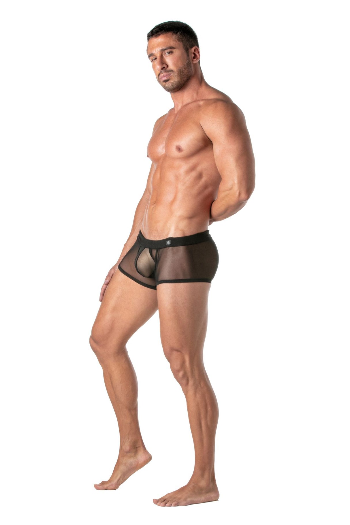 Mesh Trunks