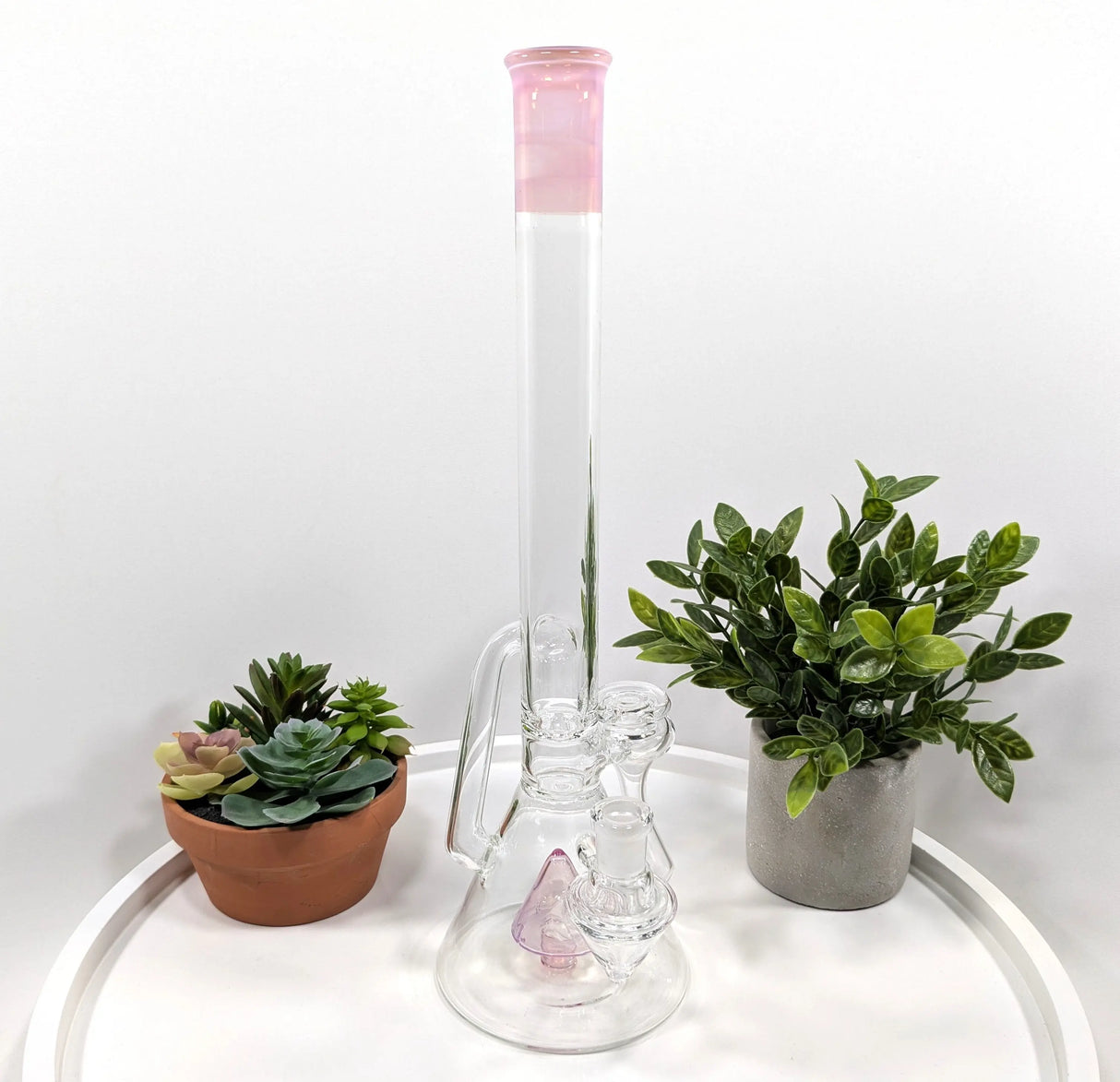 DiscoBox: Dual Recycler w/ Fixed Stem (14mm - Pink)