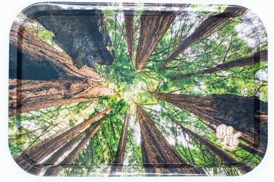Be Lit Tray - Forest