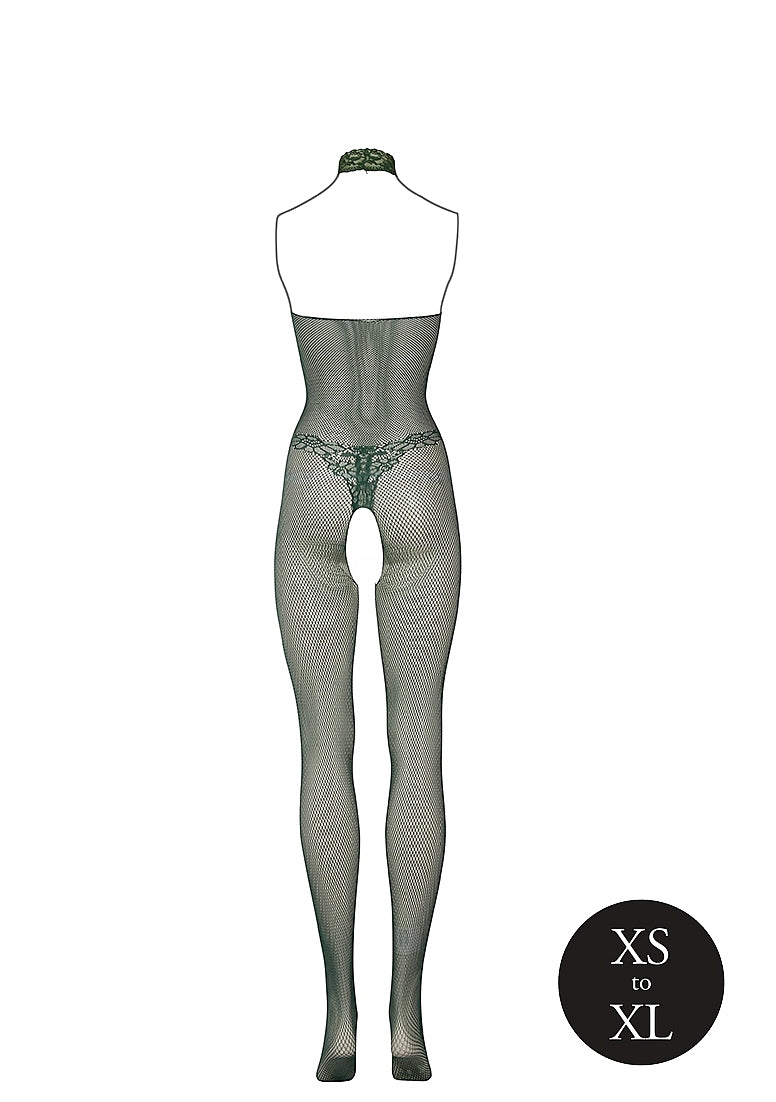 Catsuit: Fishnet & Lace