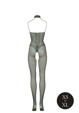 Catsuit: Fishnet & Lace