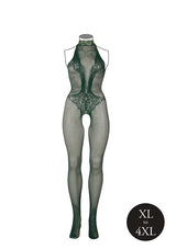 Catsuit: Fishnet & Lace