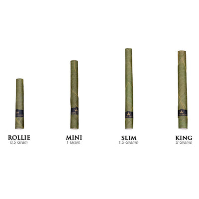 King Palm Rollie 5pk