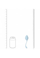 PelviFit Stem Kegel Kit