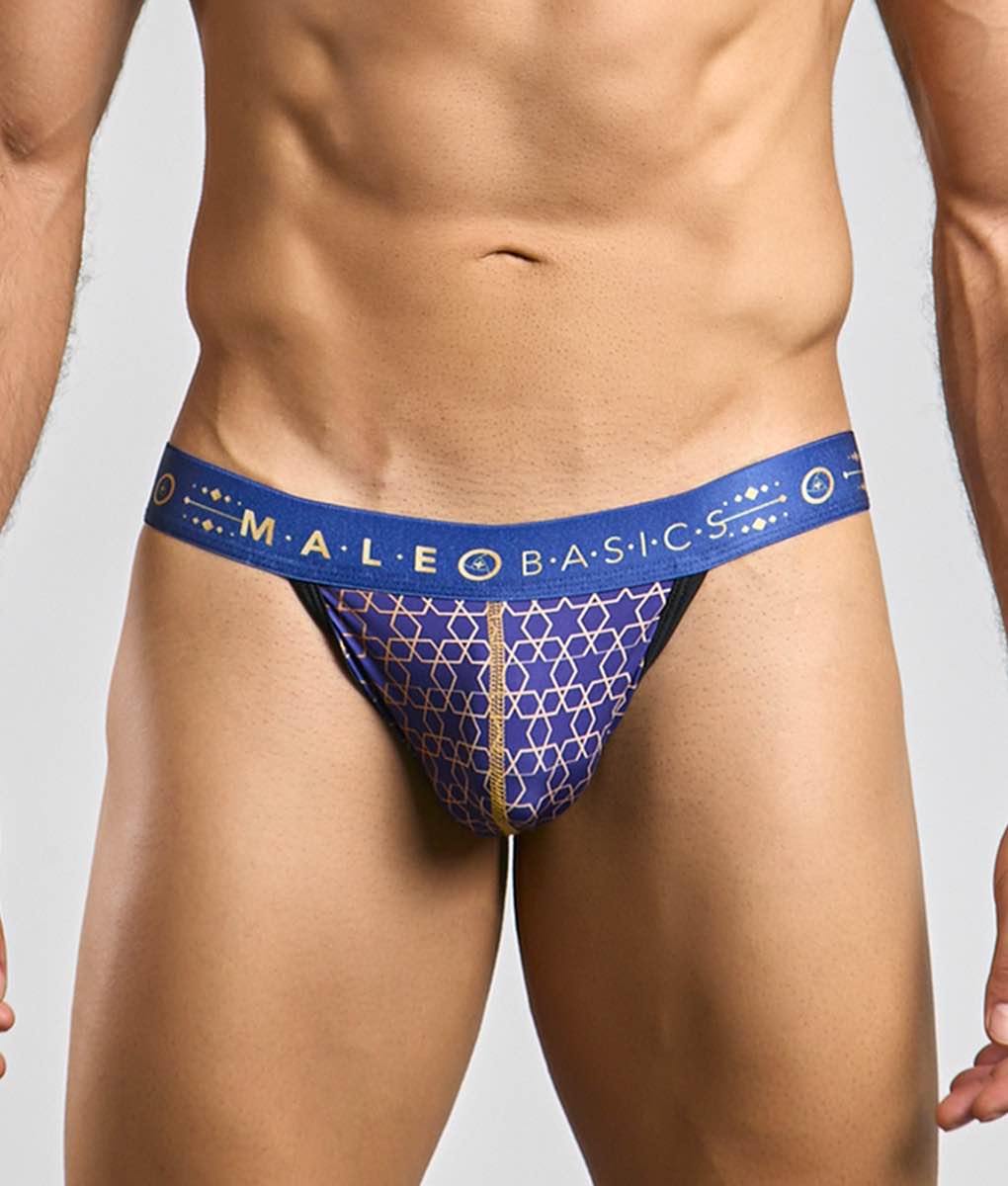 MaleBasics Hipster Jockstrap- Harmony