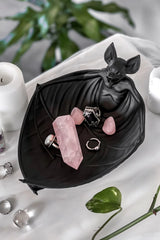 Nocturnal Catch All Dish - Black