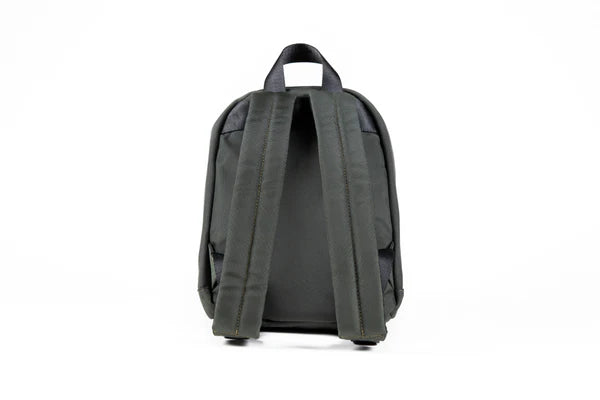 Dime Bags: "Mini Molly" Smell Proof (Green)