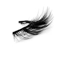 Lashes: PiLash REBEL