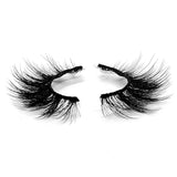 Lashes: PiLash REBEL