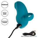 ENVY Suction Massager