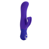 Double Dancer Rabbit-Purple