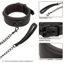 NOCTURNAL Collar & Leash