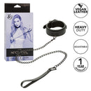 NOCTURNAL Collar & Leash