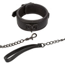 NOCTURNAL Collar & Leash