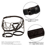 EUPHORIA Thigh Harness