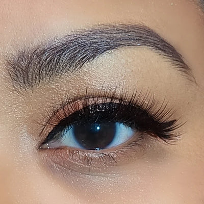 Lashes: PiLash REBEL