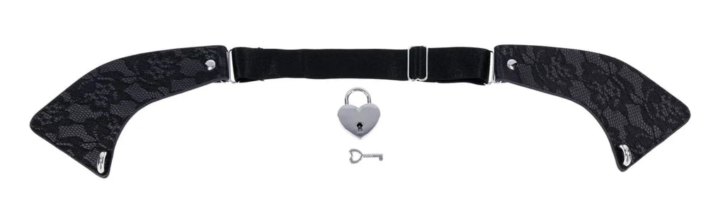 Sex & Mischief Heartbound Lace Day Collar