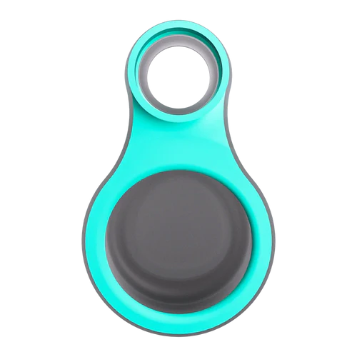 Focus V: Carta Sport "Connect" (Teal)