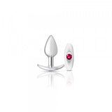 Cheeky Charms Plug Kit Small/Silver