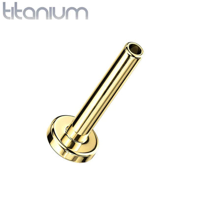 Labret: Titanium Pave X-Gold CZ