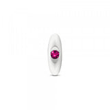 Cheeky Charms Plug Kit Small/Silver