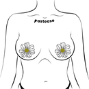 Pasties: Wild Flower White/Yellow