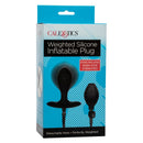 Weighted Inflatable Plug