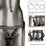 Regal Duchess Harness - Pewter