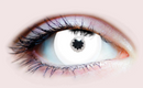 Contacts: White Mini Sclera